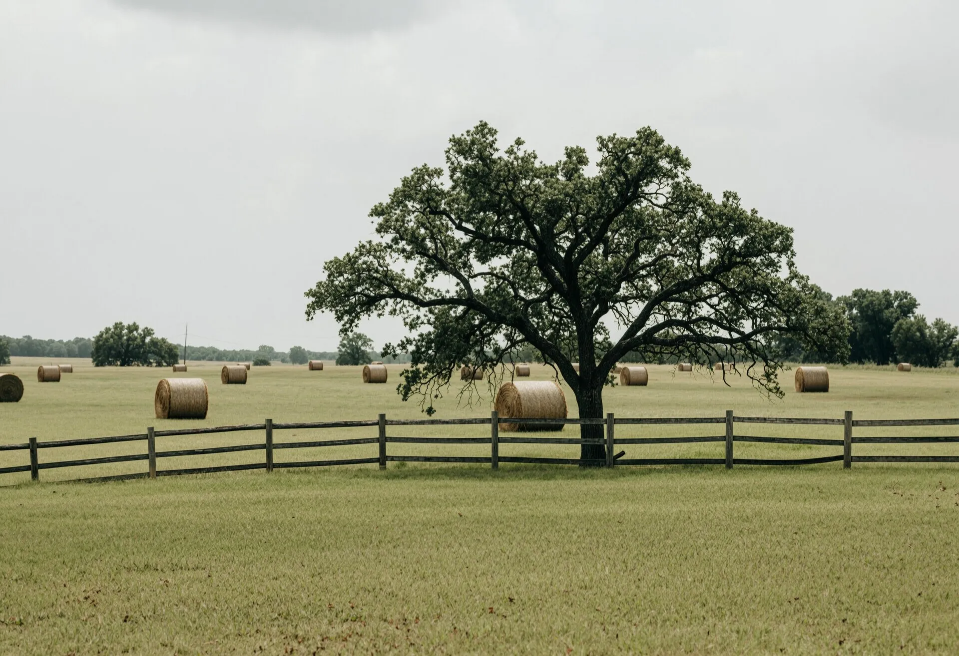 Rolling pasture with hay bales, a lone oak and a split rail fence in West Georgia farm country (illustrative scenic image, not a specific job site).